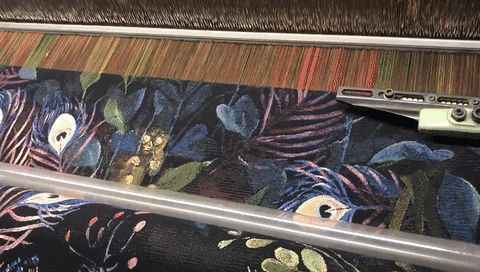 Fotoshooting im Berliner Tropenhaus